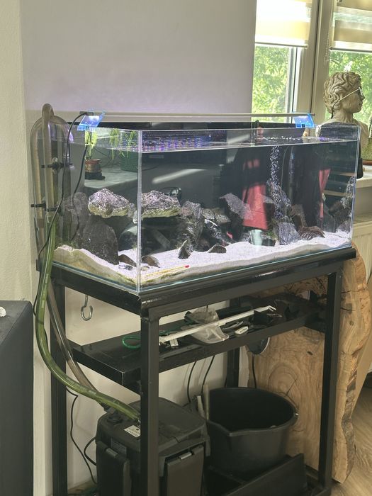 Akwarium 100 l optiwhite zestaw kompet