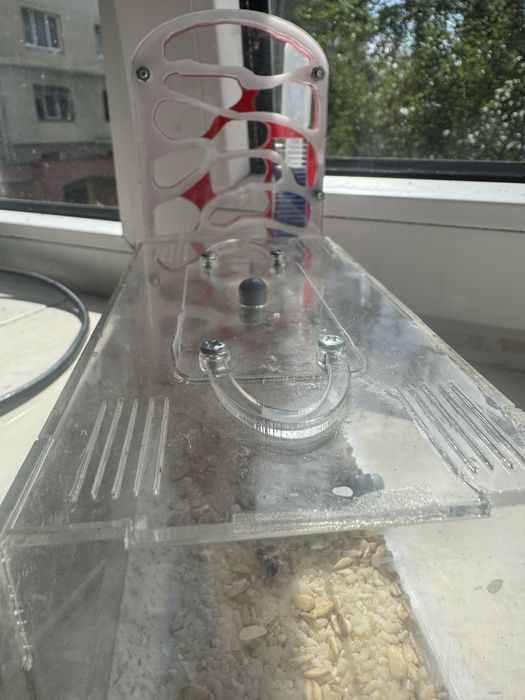 Продам мурашинну ферму