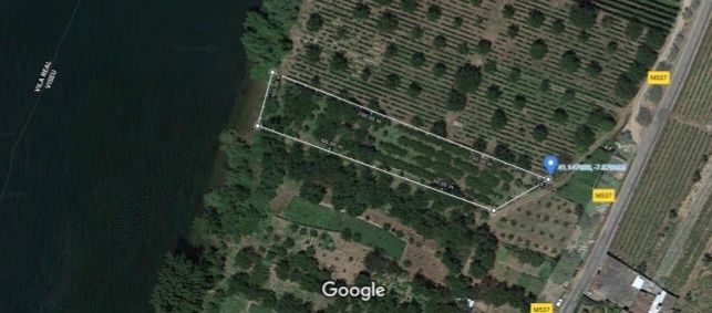 Terreno na margem do Douro com 120 cerejeiras, 1ªs cerejas da europa