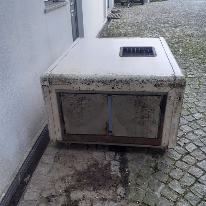 Caixa transparente animais vivos