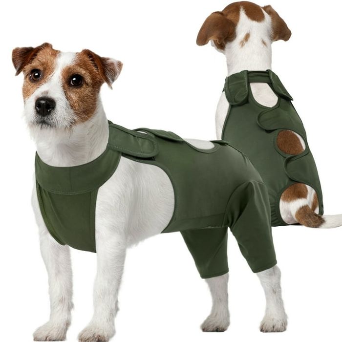 Kombinezon xs do psów pooperacyjny Przeciw lizaniu