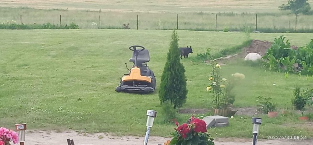 Dom  z dużą działką.