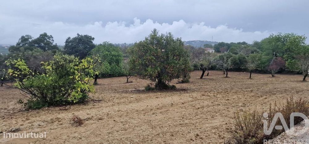 Terreno Agrícola em São Brás de Alportel de 3400,00 m2