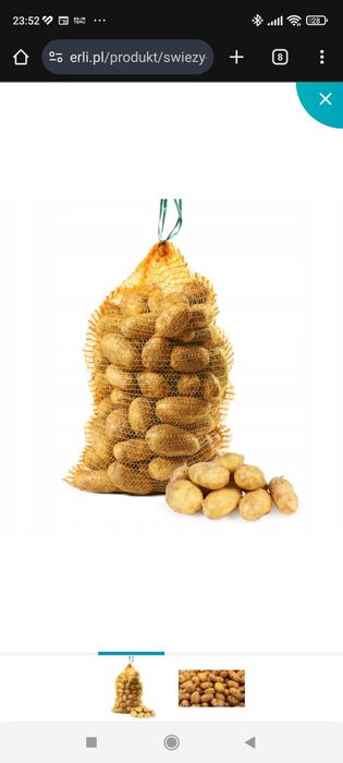 Pszenica Ziemniaki  Pszenżyto