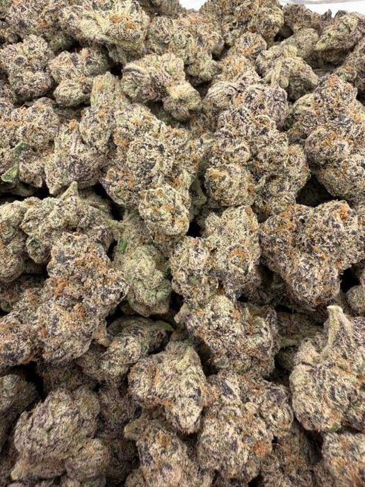 Dry CBD Slush Mints /THC<0.3%