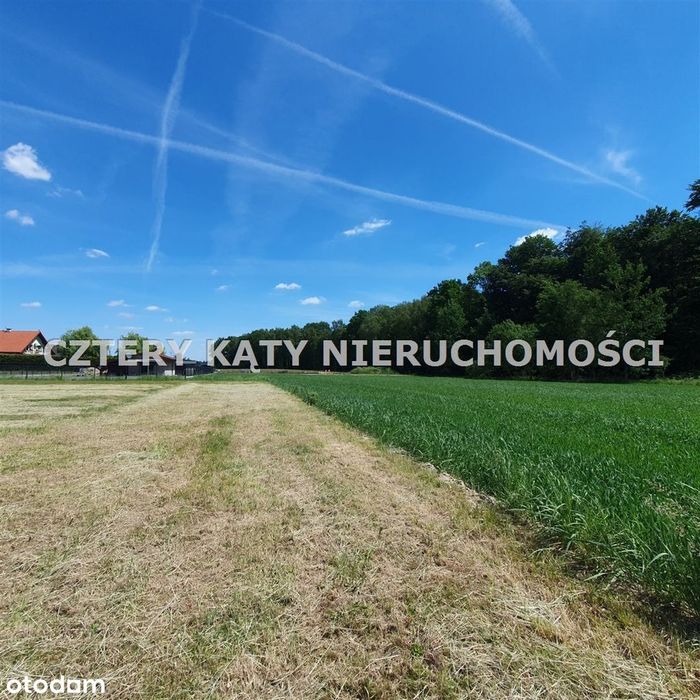 Sąsiedztwo lasu!