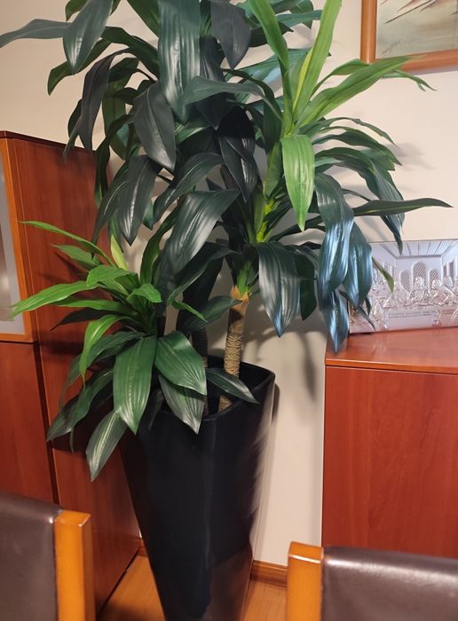 Planta Artificial Dracaena Grande (1,80m) – Como Nova