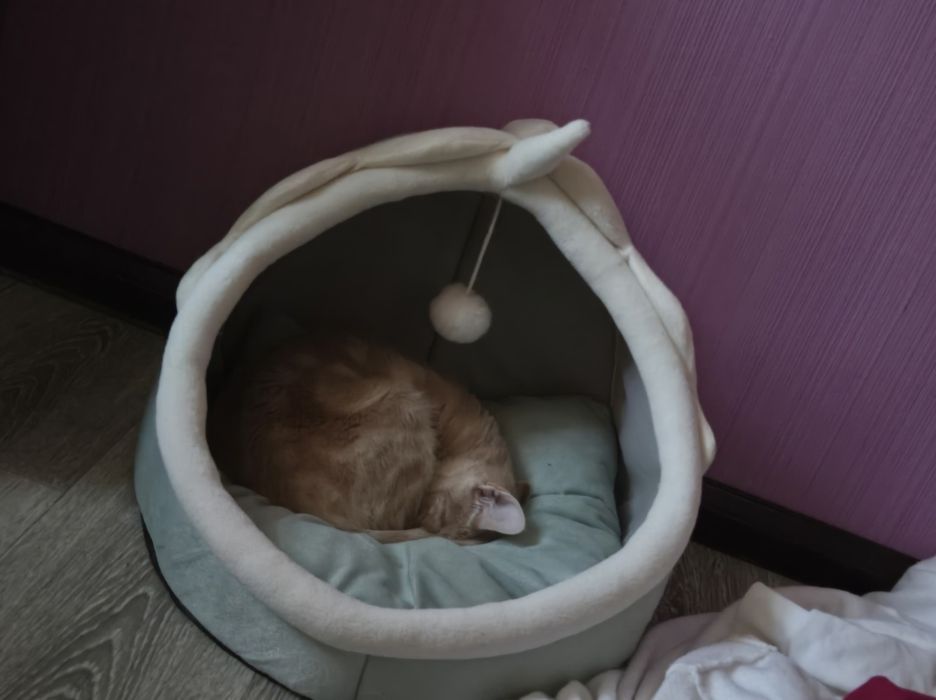 лежанка для котика
