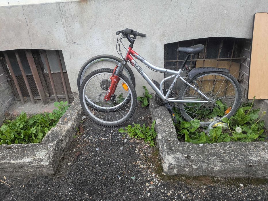 enduro forest rower