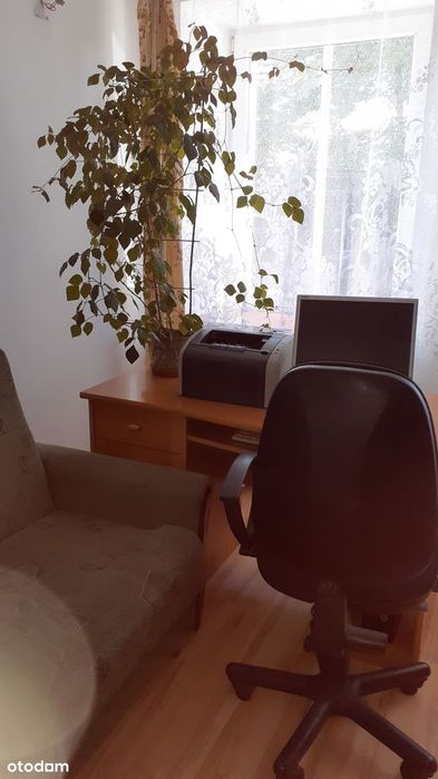 Zdjęcie 5