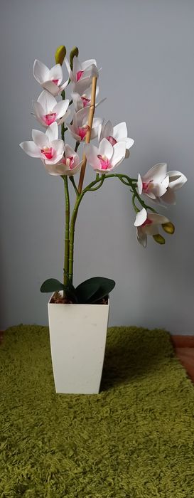 Sztuczny Storczyk w doniczce duży 72cm biały