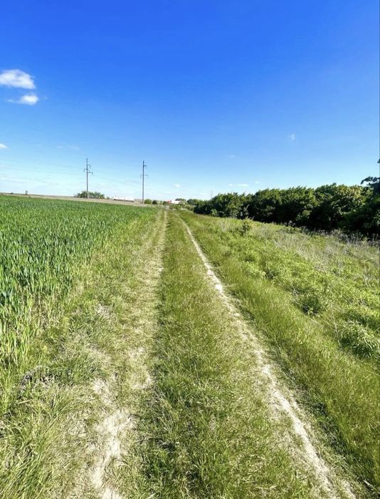 Земельна ділянка с. Колоденка біля лісу