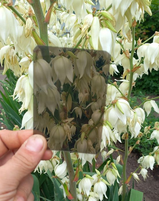 Оргстекло под размер Монолітний полікарбонат кусками Акрил  купить