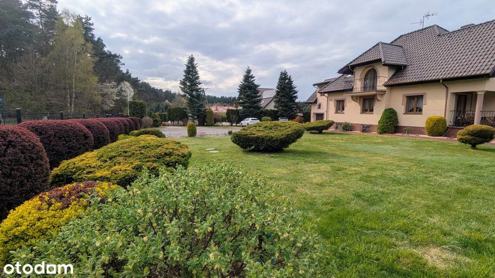 Dom – Orzesze, Zazdrość - Widok 5