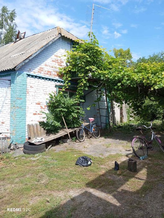 Приватний будинок