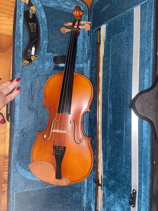 Gara Violin 4/464175167655553122