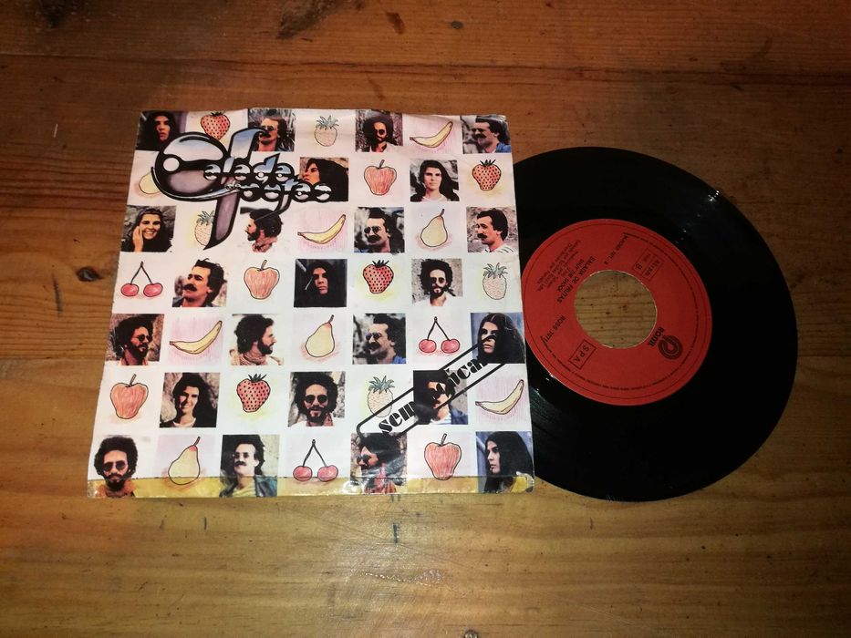 Salada de Frutas - Sem Açucar SINGLE