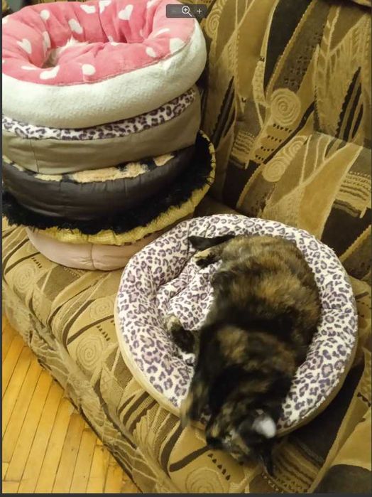 Лежанки для котов или мелких собачек.