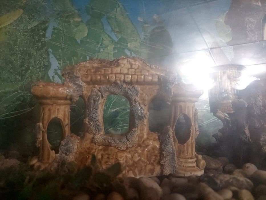Акваріум аквариум 160 л замки, домики