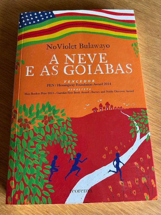 A NEVE E AS GOIABAS    NoViolet Bulawayo