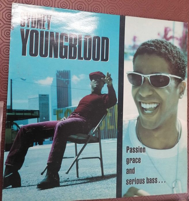 Vinis LPs, discos de vinil, lote 25; cada 5€