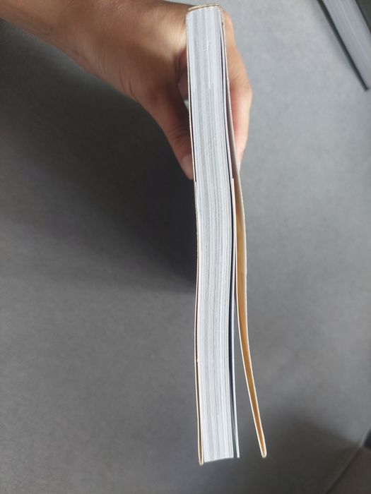 Livro  "O seu jardim interior" de Ana Manuel Mestre