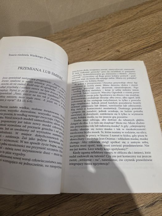 W cieniu słowa  - książka