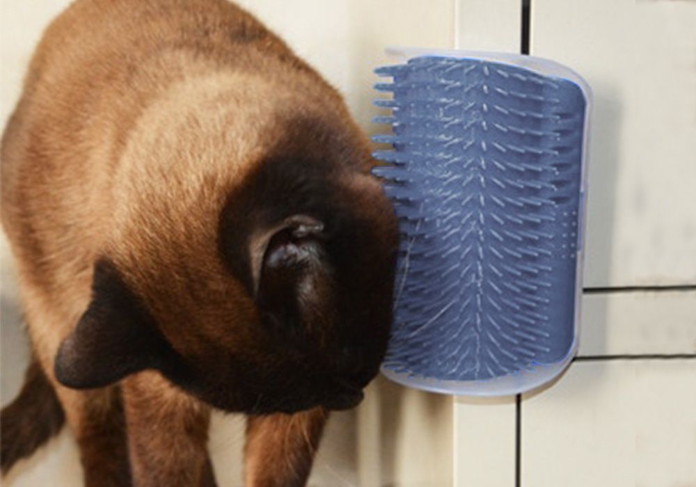 Pente de canto para remover o pelo de gato peludo