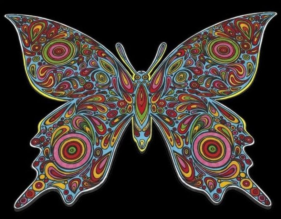Kolorowanka Welwetowa 47x35 Motyl folia,35x47x2 cm