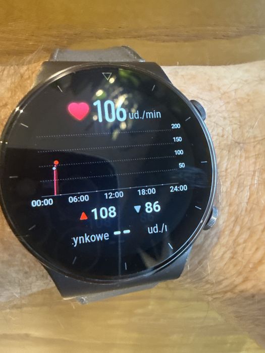 Huawei GT 2 Pro model vid B19