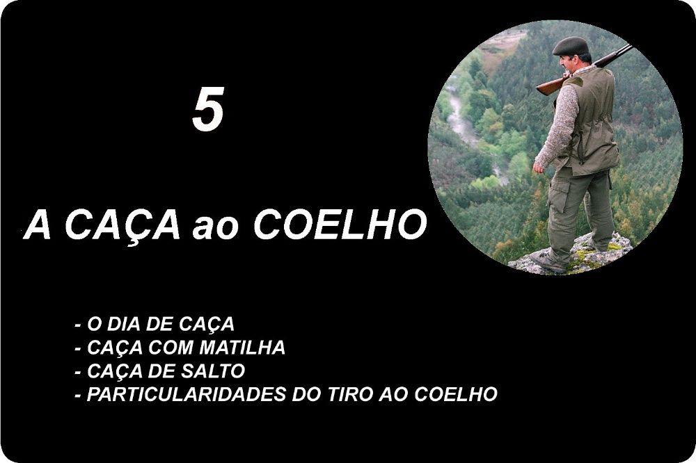 Livro A Caça ao Coelho
