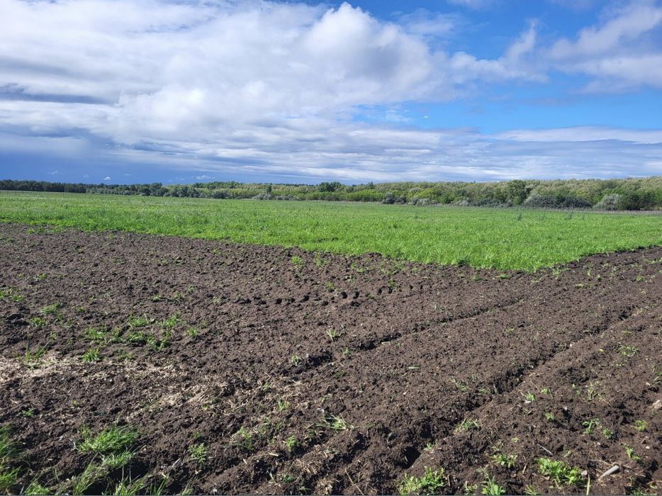 Продам Земельный пай в с. СПАССКОЕ, Днепр область, 20км от города