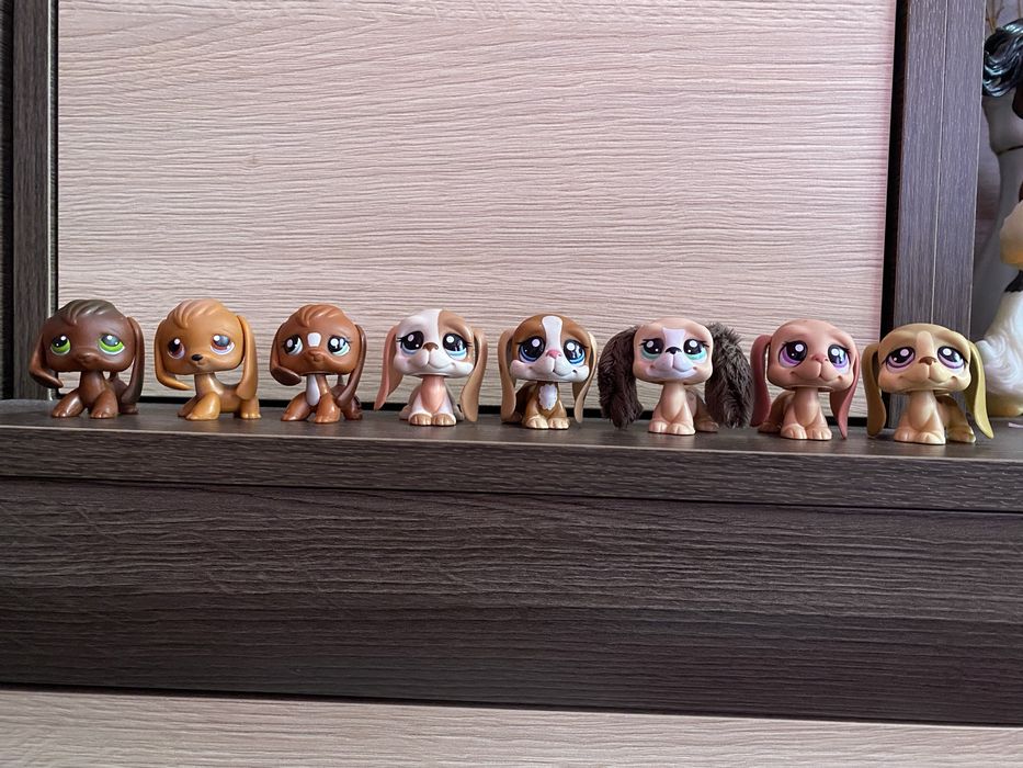 LPS Littlest pet shop psy zestaw