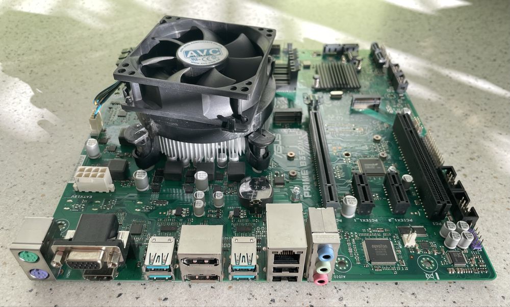 Комплект Asus Prime B360M-C + Intel Core i5-9600K