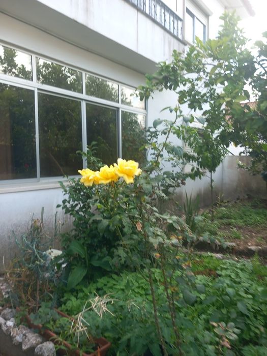 Quarto para alugar casal