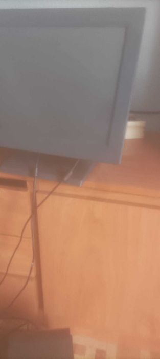 Registadora com licença até julho