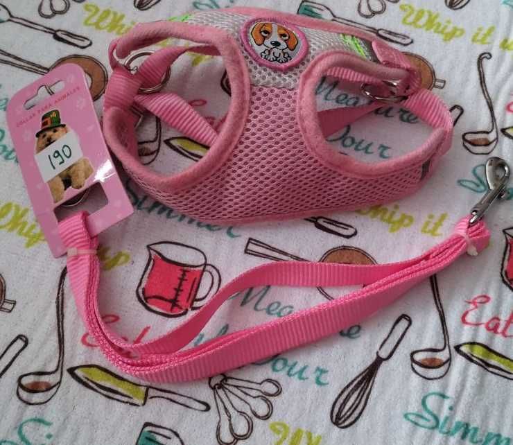 Комплект шлея-жилетка та повідець + щітка для тварин