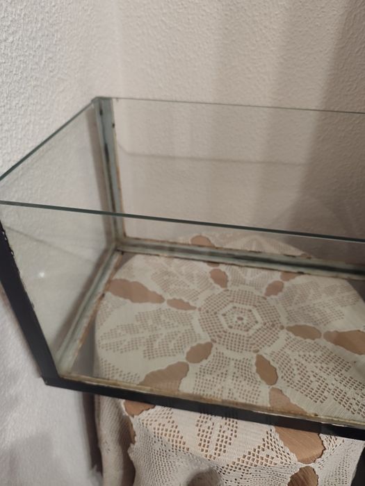 Aquário  de vidro dá para répteis