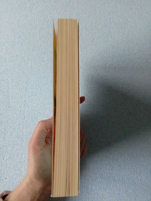 Krystyna Mirek Światło w cichą noc wyd kieszonkowe