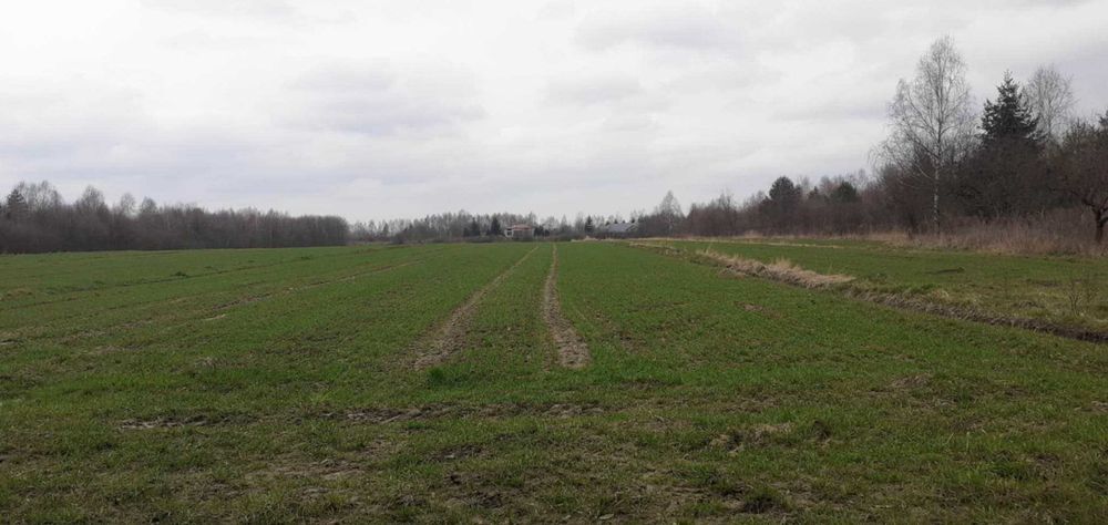 Sprzedam działkę z domem ul. Spacerowa w Radomsku.