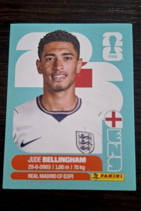 Стікери panini wc 2026