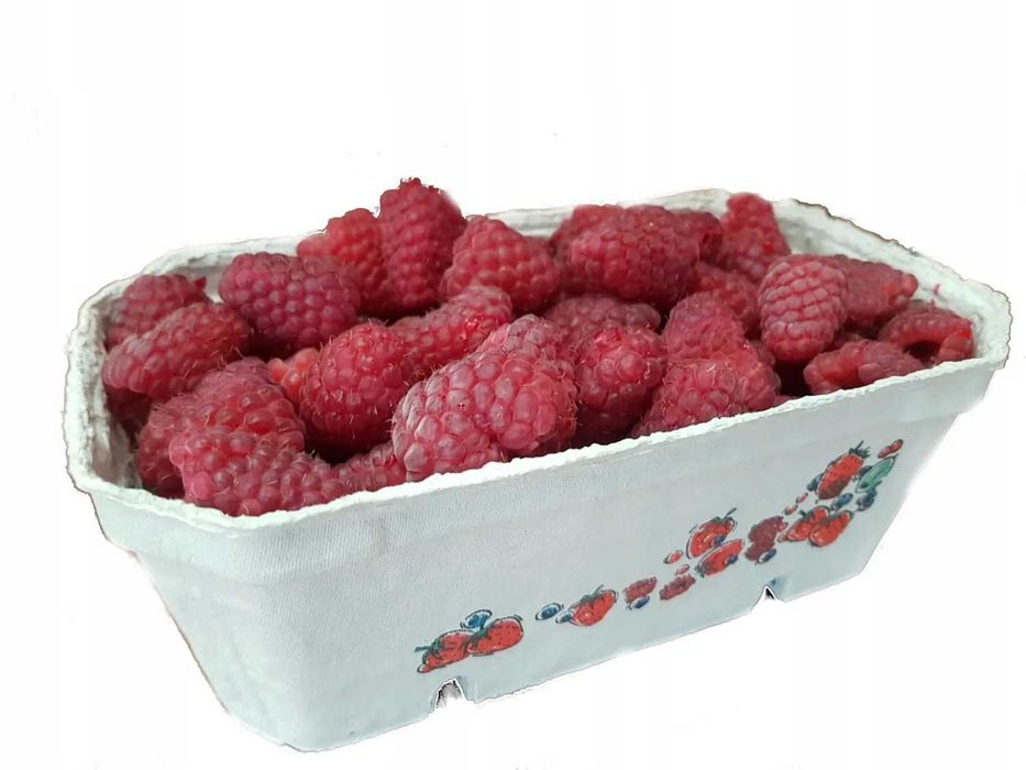 POJEMNIKI NA MALINY 500g BERIGARD 400 szt fruit pack