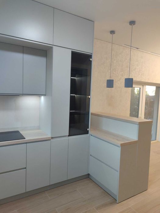 Кухня, шафа купе, корпусні меблі на замовлення AGT, фарбований МДФ