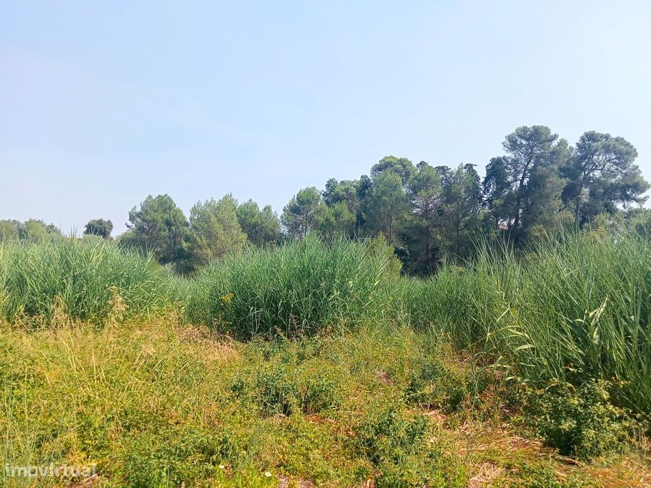 Terreno para Venda - 707 m²