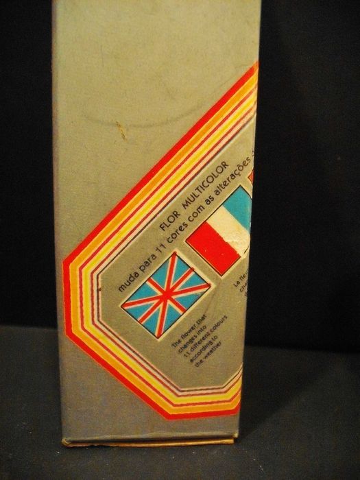 Flor que muda de cor conforme o tempo - Portuguesa