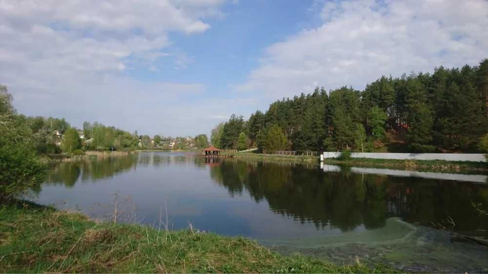 Продам будинок м.Васильків.Басейн,камін,крита альтанка