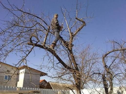 Обрезка деревьев веток, спил аварийных сухие.