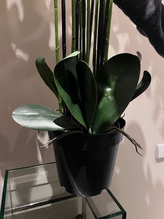 Orquídea decorativa branca artificial