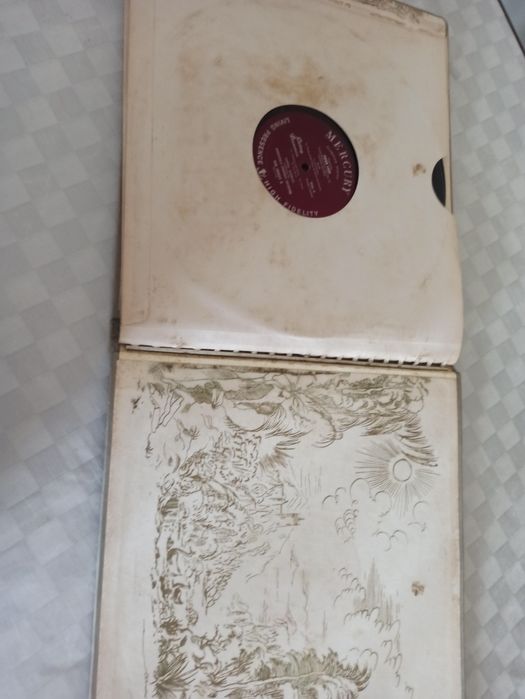 O lago dos cisnes livro e vinyls