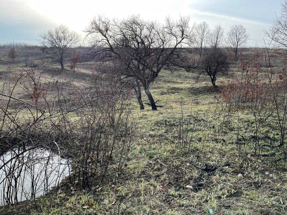 Продається земельна ділянка, смт Середнє Код: 43367